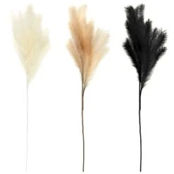 B&M Pampas Stem - Natural -B&M 372800 395541 394382 pamas stem group