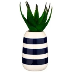 B&M Small Succulent -B&M 380107 small succulent 3