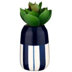 B&M Small Succulent -B&M 380107 small succulent 5