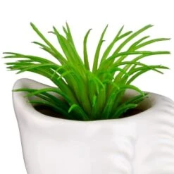 B&M Scandi Shore Small Shell Succulent 18 B&M Scandi Shore Small Shell Succulent -B&M 380110 small shell succulent 5