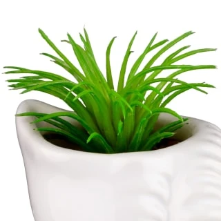 B&M Scandi Shore Small Shell Succulent 10 B&M Scandi Shore Small Shell Succulent - Image 8