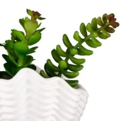 B&M Scandi Shore Small Shell Succulent 19 B&M Scandi Shore Small Shell Succulent -B&M 380110 small shell succulent 8