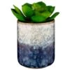 B&M Scandi Shore Succulent 1 B&M Scandi Shore Succulent -B&M 380125 scandi succulent