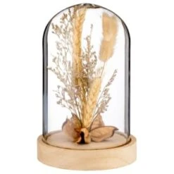 B&M Dried Flowers In Cloche - Natural