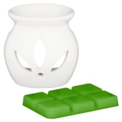 B&M Oil Burner & Wax Melt Set - Watermelon -B&M 380475 oil burner wax melt set watermelon group