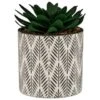 B&M Succulent In Botanist Print Pot - Green -B&M 380608 patterened pot with succulent