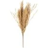 B&M Dried Grass Bunch -B&M 387541 dried grass bunch