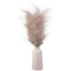 B&M Pampas In White Vase