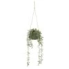 B&M Hanging Foliage In Green Ceramic Pot -B&M 394335 hanging green pot foliage