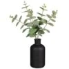 B&M Eucalyptus In Black Pot -B&M 394336 eucalyptus in black pot