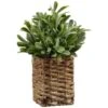 B&M Foliage In Seagrass Pot -B&M 394344 foliage in seagrass pot