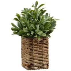 B&M Foliage In Seagrass Pot