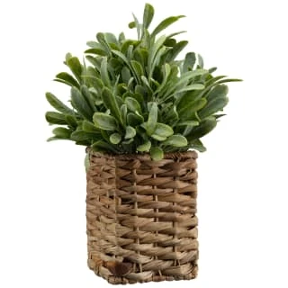 B&M Foliage In Seagrass Pot 3 B&M Foliage In Seagrass Pot