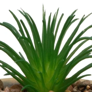 B&M Small Succulent Pot - Stone 4 B&M Small Succulent Pot - Stone - Image 2