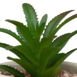 B&M Assorted Embossed Pots -B&M 394664 embossed pot 2