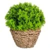 B&M Bush In Seagrass Pot -B&M 394693 bush in seagrass pot