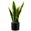 B&M Snake Plant In Pot -B&M 394719 snake plant in pot